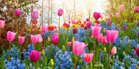 Spring Equinox Immersion