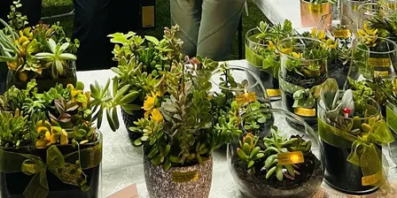 Glasshouse Succulents Workshop