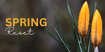 Spring Reset