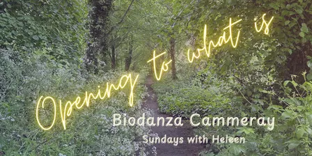 Biodanza-across