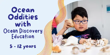 Ocean Oddities @ Bull Creek Library
