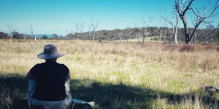 Meditation in nature - connect to the living world