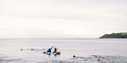 Sea the Weed (September - Wylie's Baths, Coogee)