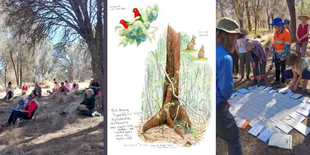 'How to teach nature journaling' - workshop