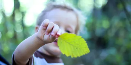 Seedlings Event (Jumping Creek, Warrandyte)