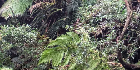The Breathwork Collective: September Morning 1-1 Breath Circle