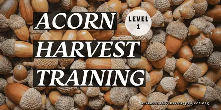 In-Person Acorn Harvest Training - Level 1 - October 10 2026