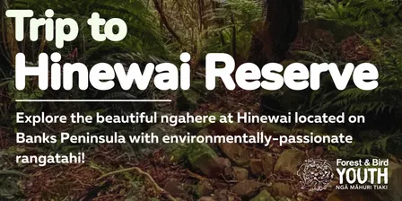 Postponing! Hinewai Reserve Trip