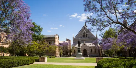 17th International and Interdisciplinary Conference on Applied Linguistics and Professional Practice (ALAPP)
