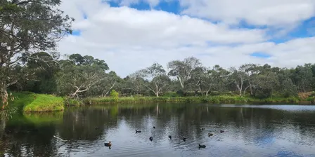 Bungies Waterhole River Walk: Exploring Stormwater, Litter, and Waterway Health