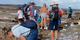 Guided rock platform exploration