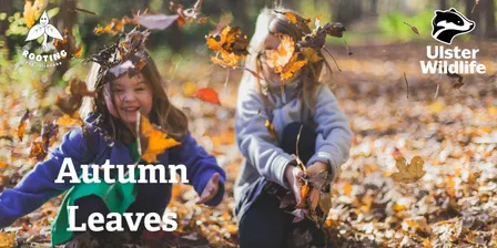Autumn Leaves with Rooting for Childhood - age 2-4