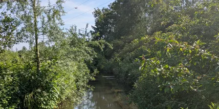 November River Monitoring Walk - University of Staffordshire Nature Reserve