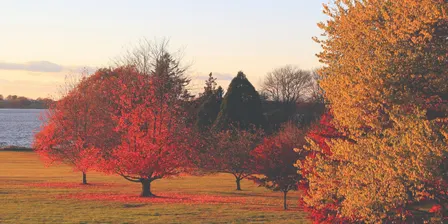 Fall Sunset Tour
