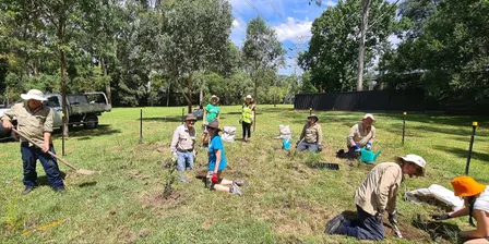 Growing Food for wildlife Project - Pennant Hills/Hornsby