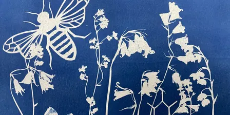 Cyanotype Printing And Papercutting