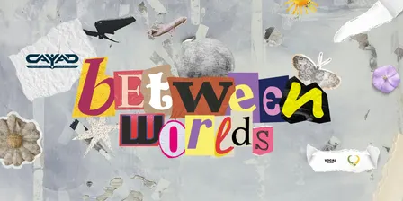 Between Worlds