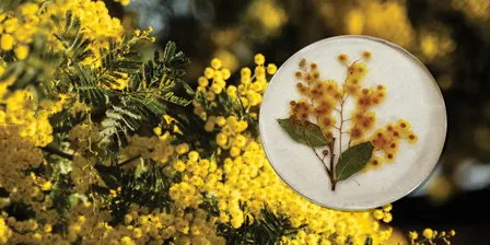Green Thumbs: Christmas Wattle Coasters