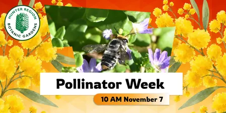 Celebrating Pollinator Week!
