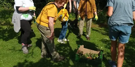 Gardening for Butterflies