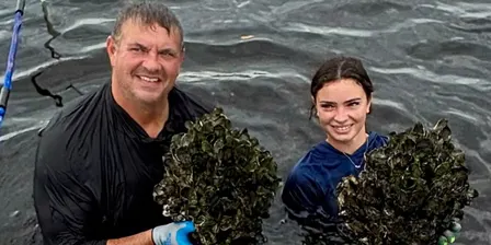 Large Scale Oyster Restoration in the Manatee River with Oyster River Ecology