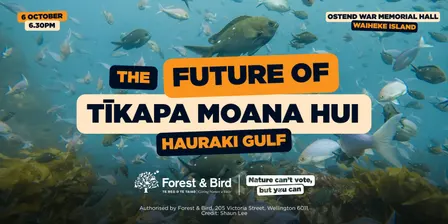 The Future of Tīkapa Moana Hauraki Gulf hui- Waiheke Island