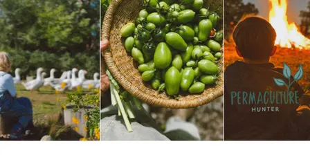 Hunter Permaculture: Building Resilient Families & Communities