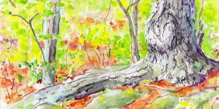 Basic Watercolor Workshop with Larry Johnson Nov 14