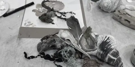 Flotsam: Sculpture and Assemblage with Averill Lawler