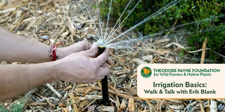 Irrigation Basics for Native Plants with Erik Blank — October 24, 2026