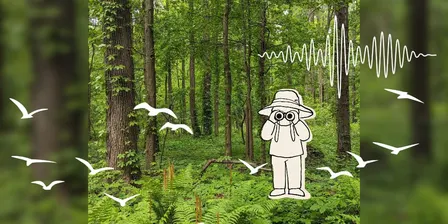 Hawk Rise Sanctuary Outing