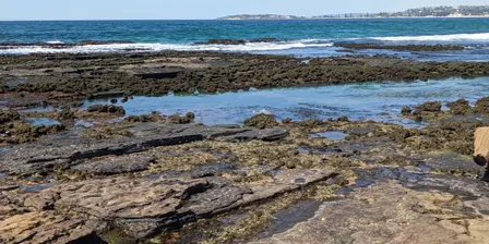 Guided rock platform exploration