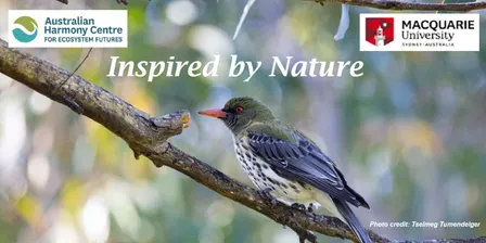 Inspired by Nature