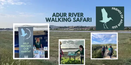 Adur River Walking Safari - October