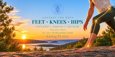 FEET • KNEES • HIPS Connect the Dots