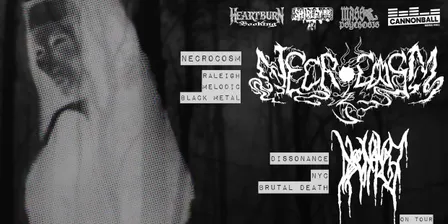 Necrocosm x Dissonance x Putrefact Indulgance x Infest Desitiny