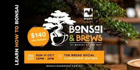 Bonsai & Brews (The Bread Social)