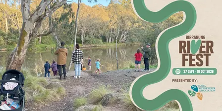 Searching for platypus: Platy Project dusk walk at Birrarung and the Merri at Dights Falls