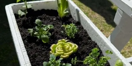 Mini wicking bed herb planters - water wise small space gardening