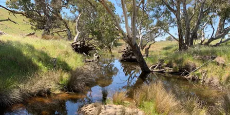 Five Steps to a Healthy Watercourse