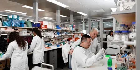 SCAD/FMD Open Day