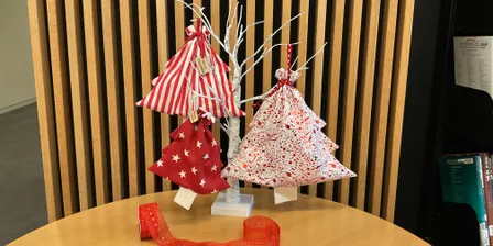 Tūranga - Sew a Christmas bag - 18+ years - T4Sa
