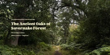 Women-only Walk | Savernake Forest | WILTSHIRE