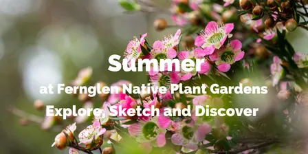 Nature Journaling at Fernglen Native Plant Gardens - SUMMER