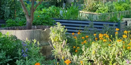 Gardening Workshop - Dig into Healthy Ageing with LiveUp