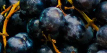 FOOD: A Convening