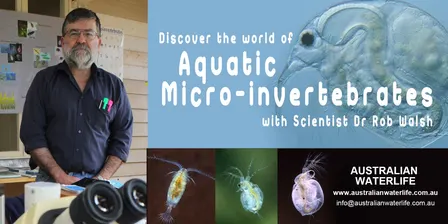 Platypus Watch: Macro-Invertebrates and the Food Web Workshop