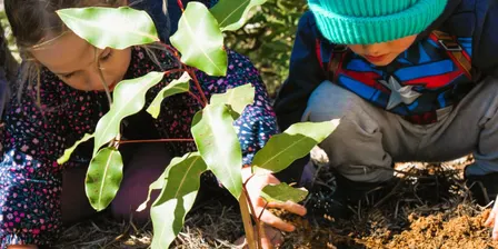 Greening Boorloo Celebration