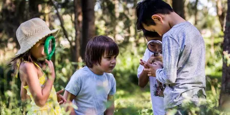 Park Science: Incredible Insects - Spring 2026