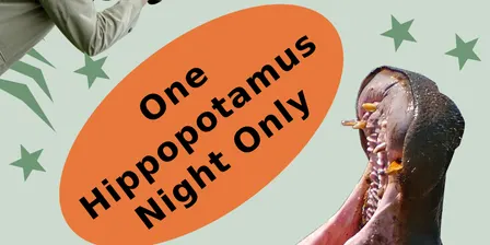 Puppet Union Presents: One Hippopotamus Night Only!